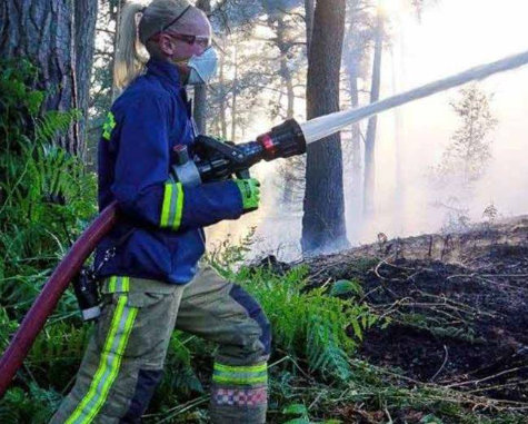 fire fighter in wood